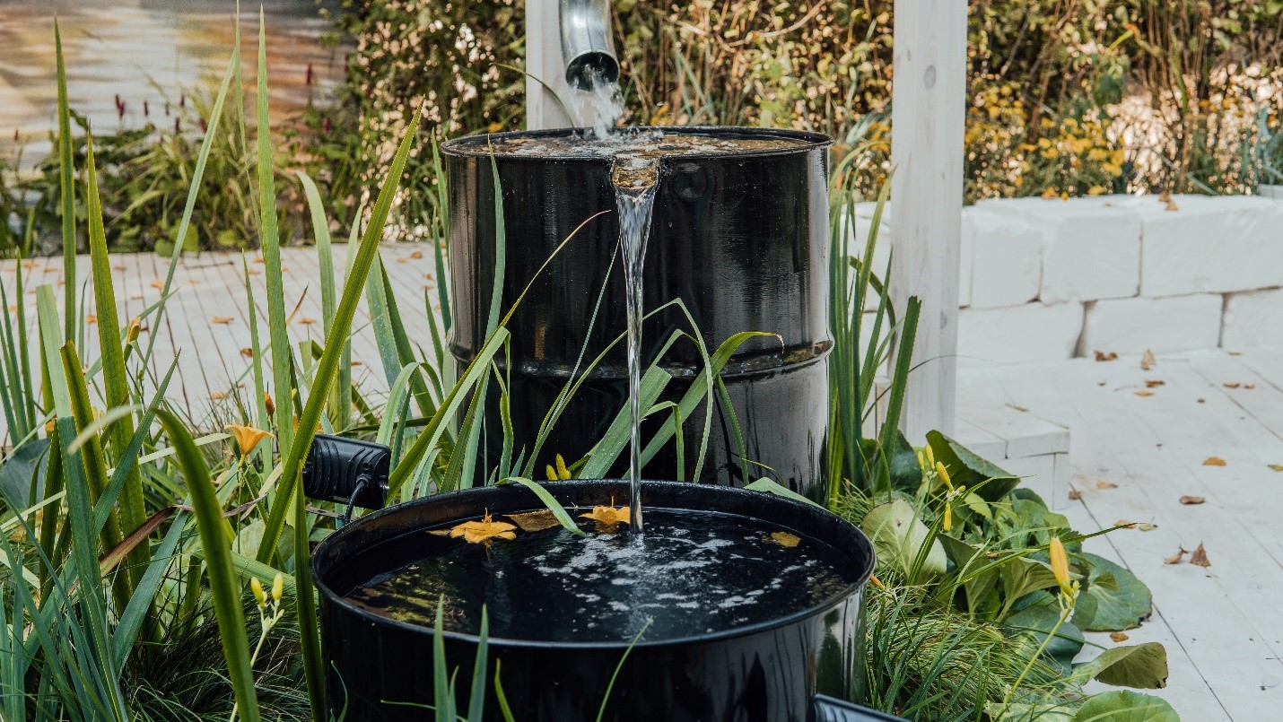 A garden with rain barrels collecting runoff from down spouts.s
